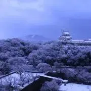 しおあじ【値下げ歓迎】の画像