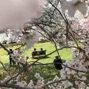縁