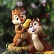 chipの画像