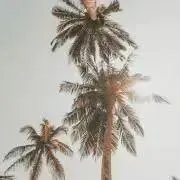 くるみ