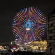きゃみんの画像