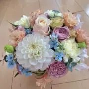 SHELLY☆彡の画像