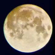 Mimiの画像