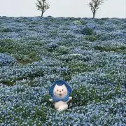 プロフィール必読@の画像