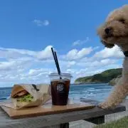 イナサの画像