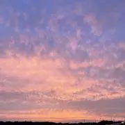 コの画像
