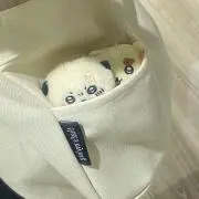 Naの画像