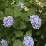 もこ ※プロフィール確認して下さい!