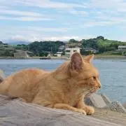Meの画像
