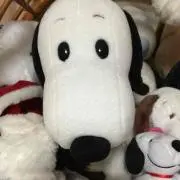 ヌーピー