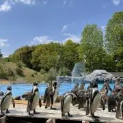 みゆの画像