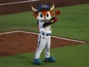 ゆの画像