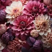 花ஐ ♡プロフィール確認してください。の画像