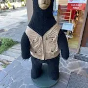 ハルの画像