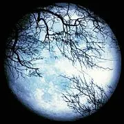 cosmoの画像