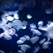 ソラ*　プロフ一読お願いしますの画像