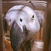みー