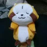 シュウの画像
