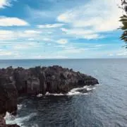 チラシの画像