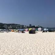 野球好き