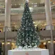canaの画像