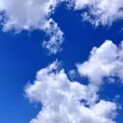もろろっこの画像