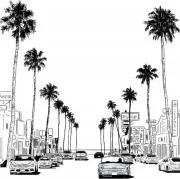 CALIFの画像