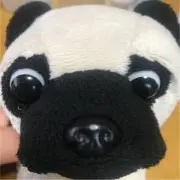 パグ