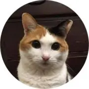 yucchiy1の画像