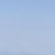 りんごの画像