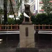 クー〜
