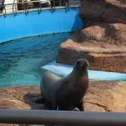 やまよしの画像