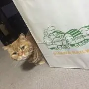 mayの画像