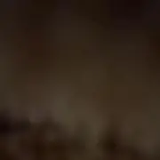 退治