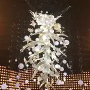 もちもちのいちの画像