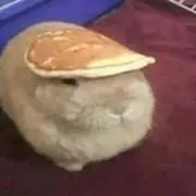 k kの画像