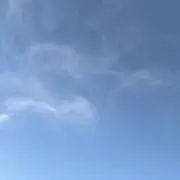 こっこ