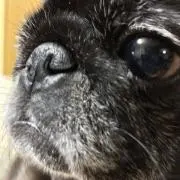 かんた