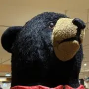 よしぼうじま