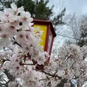 mm