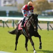 パッチの画像