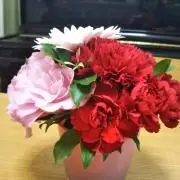ステラルー♡