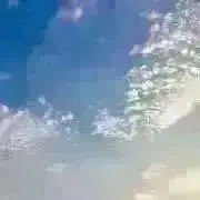 プロフ見てください(ᵔᴥᵔ)♡の画像