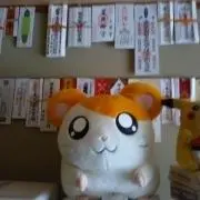 たいちゃん！の画像