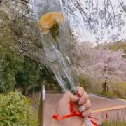 ごまの画像