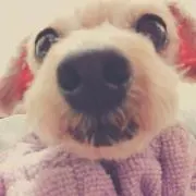 Riii☆