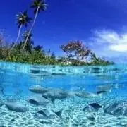 beach☆fieldの画像