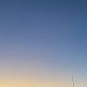 おいぬの画像