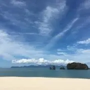 R roroの画像