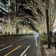 MMMプロフ必読の画像